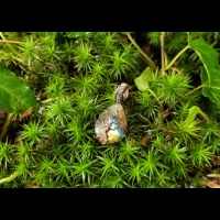 20250512_141129_1677150695