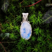 img_20250208_124524_099