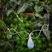 img_20250208_124524_229