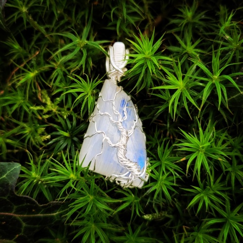 img_20250208_124524_068