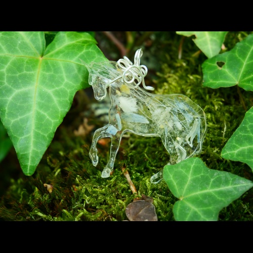 p1053129