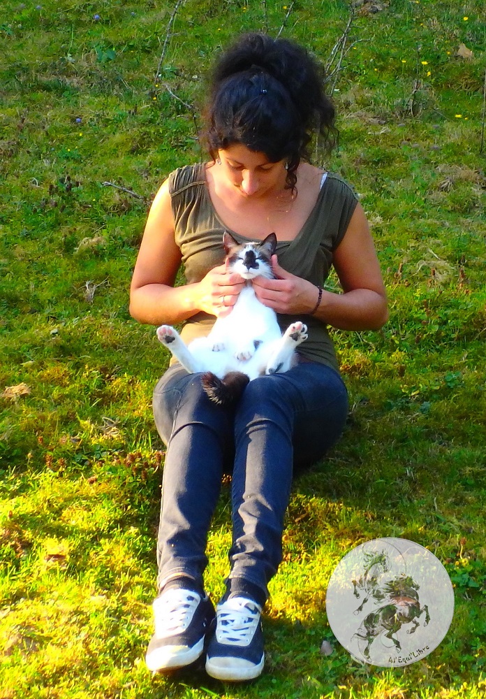 séance chat redim